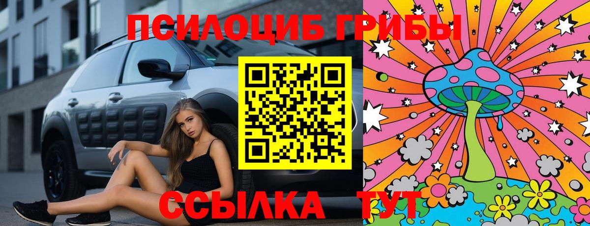 Псилоцибиновые грибы мицелий  Вход с VPN  Галлюциногенные грибы Psilocybe  Нурлат 